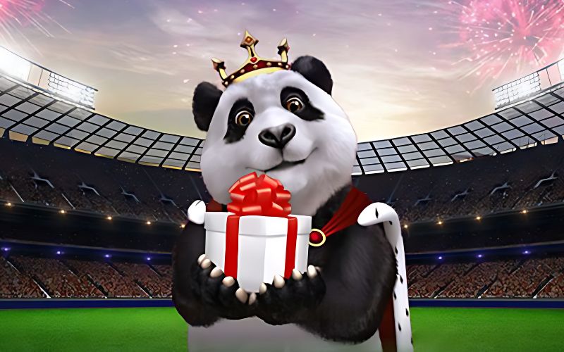 Mẹo chơi hiệu quả tại Panda Sports