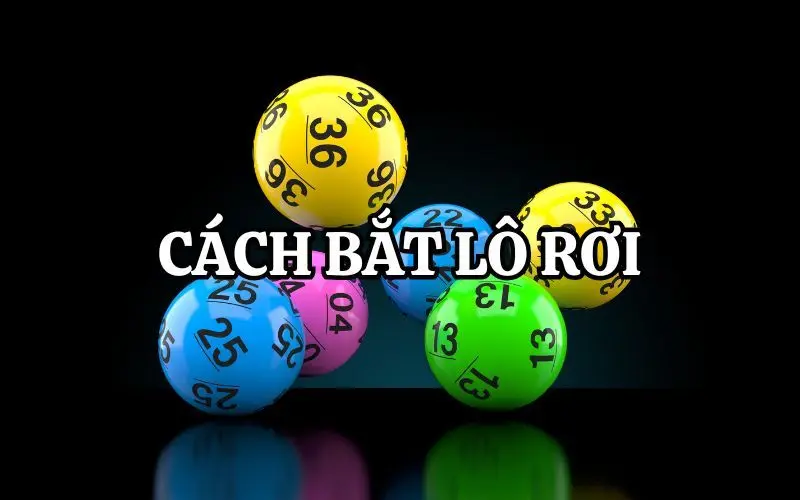 cach bat lo roi 1